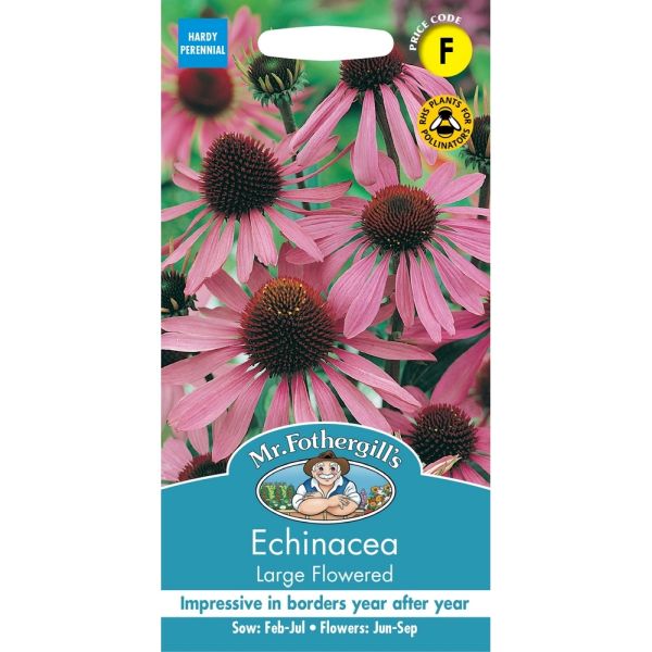 Echinacea Large Flowered Seeds